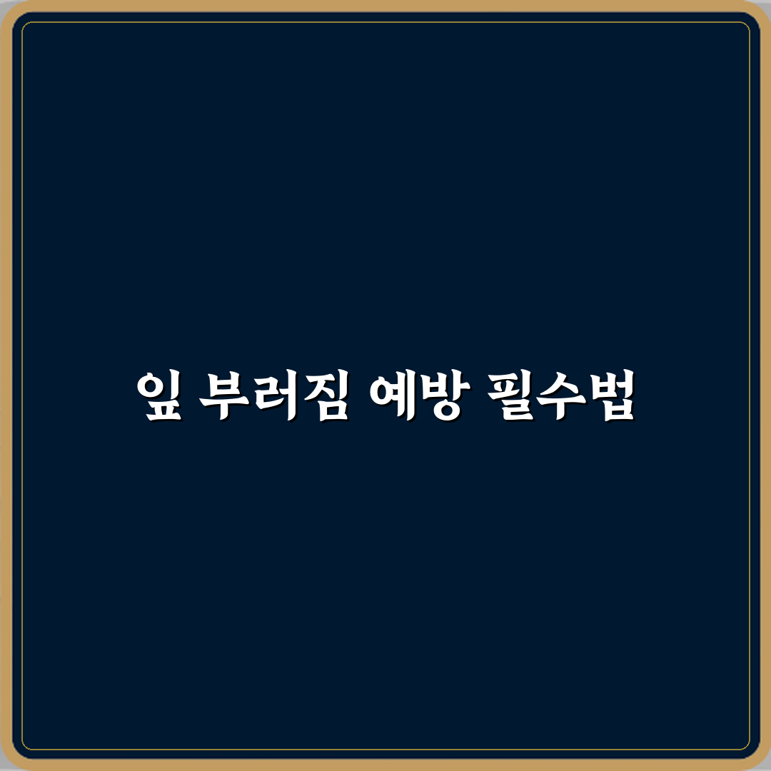 아스파라거스 고사리 실내에서 잎 부러짐 방지법 꿀팁 공유할게요