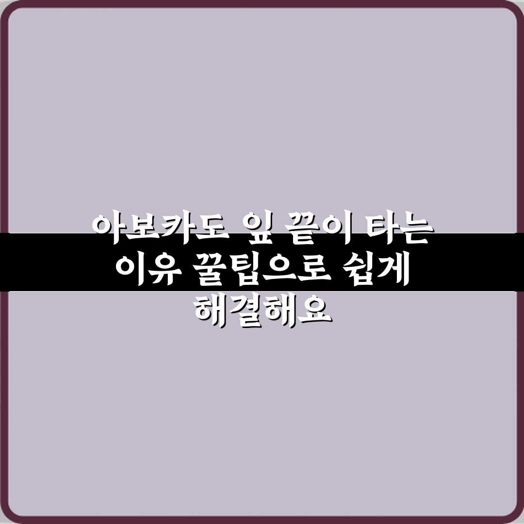 아보카도 잎 끝이 타는 이유 꿀팁으로 쉽게 해결해요